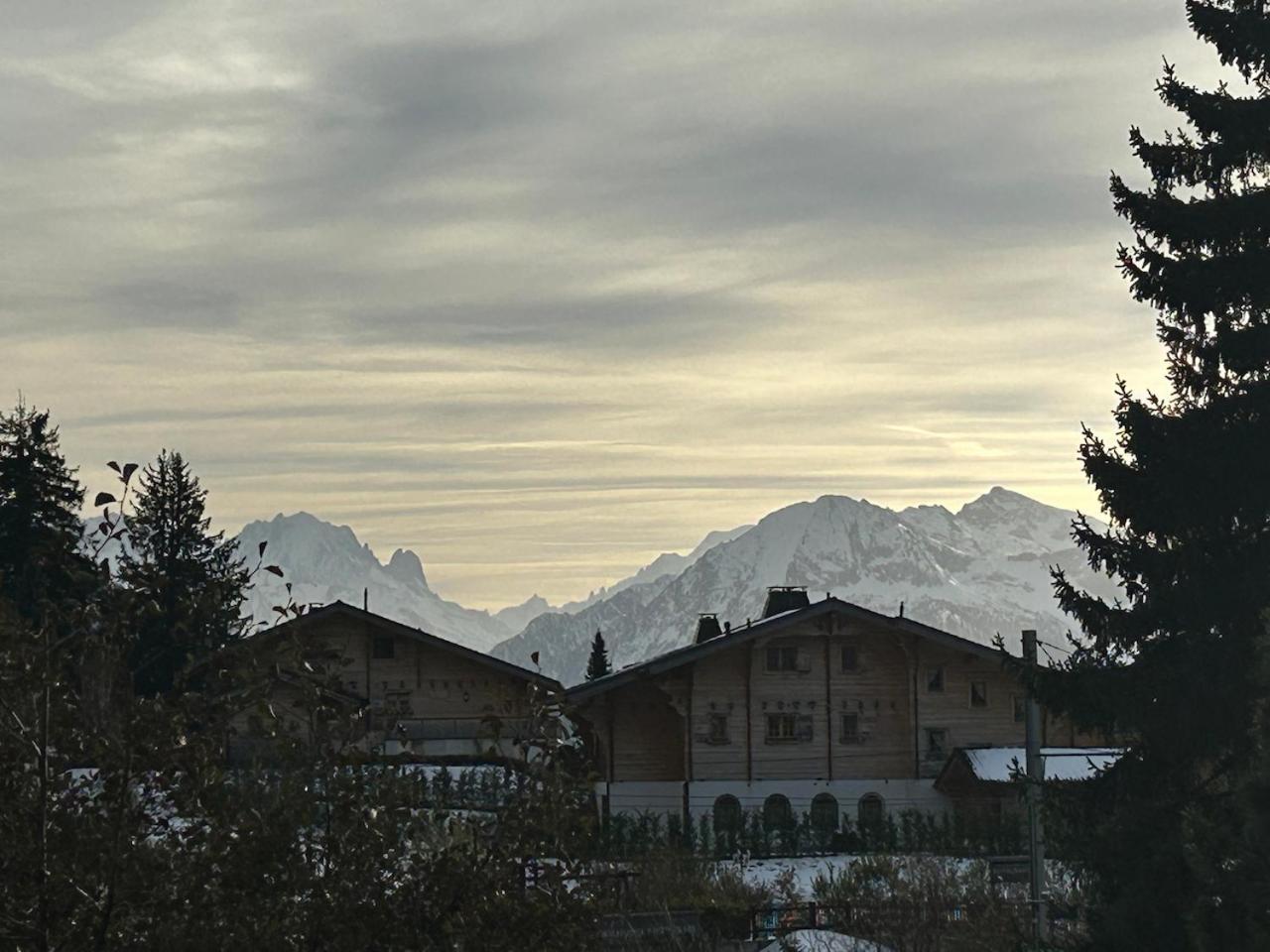 In Sur Ollon, Emeraude, For 2 Only 100m To Bretaye Train * Villars-sur-Ollon